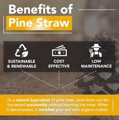 Premium 8 Pounds Pine Straw Mulch for Landscaping Organic Material Made from