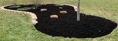 Versatile Midnight Black Mulch Colorant Quart – Safe for Wood and Rubber Mulch