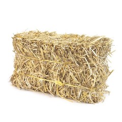 Mini Straw Bale (2lb) – 100% Natural Wheat Straw for Gardening & Pet Bedding