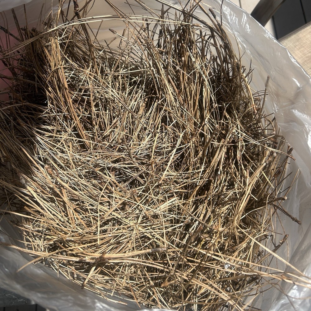 2 Pounds Pine Needles For Garden, Moisture Retention, Erosion Control, Crafts