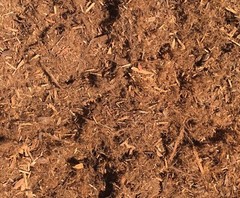 MIGHTY109 Shredded Redwood Mulch (Gorilla Hair) (48 Quarts)