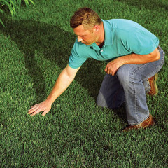 EZ Straw Seeding Mulch with Tack – Biodegradable Processed Straw, 1 Cu. Ft. Bale
