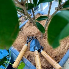 Natural Organic Coconut Husk Silk, Pure Shell Fiber Orchid Brown