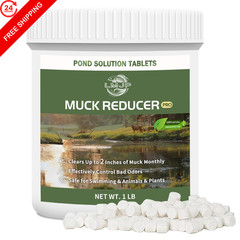 LMJP Muck Reducer for Ponds, Sludge Solution, Away & Odor 1 Pound