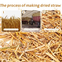 Wnj Natural Wheat Straw – 1 Lb Dry Straw Soft 100 Natural Straw Bale For Animal