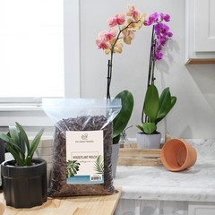 Houseplant Mulch (8 Quarts) – Small Bark Wood Chips for Indoor, Patio, Potted Pl