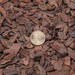 Omitgoter Orchid Bark 1qt, Natural Pine Mulch for