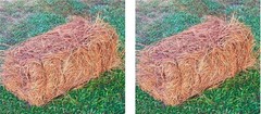 Long Needle Pine Straw Mulch 160 Sqft Coverage 3 Set Premium USA Harvested