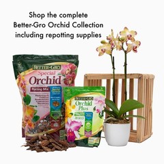 Sun Bulb 50000 Better Gro Special Orchid Mix, 4-Quart
