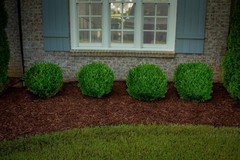 COLORBACK Brown Mulch Dye, 3,200 Square Feet 32 Fl Oz (1 quart),