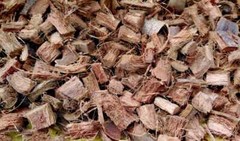 500g Coconut Husk Chips Fiber Orchids Flowers, Anthurium