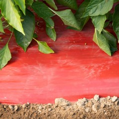 Johnny’s Selected Seeds SRM Red Mulch Film – 4′ x 100′ Roll NEW