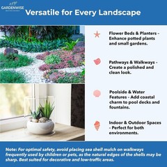 Natural Sea Shell Mulch – Decorative Coastal Shells for Garden, Pathway, Patio