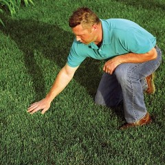 EZ Straw Seeding Mulch with Tack,Processed Straw, 1 cu. ft. Bale, 3 Pack