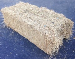 Sandbaggy Rice Straw Bales (Certified Weed Free) – 46″ x 15″ x 22″