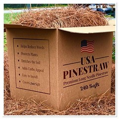 100% Organic Pine Needle Mulch Weed Control Soil Moisture Retention 240 Sqft New