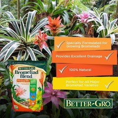 Better-Gro Bromeliad Blend 8 Quart 8 quarts, Brown