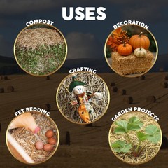Mini Straw Bale (2lb) – 100% Natural Wheat Straw for Gardening & Pet Bedding