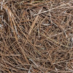 Garden Elements Long Leaf Pine Straw Bale For Mulch, Soil Amendment, 12.5 Pounds