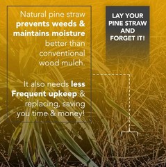 Premium 8 Pounds Pine Straw Mulch for Landscaping Organic Material Made from