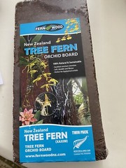 Fern Wood New Zealand Tree Fern Background Panel 18x6x0.6” Twin Pack