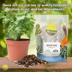 Natural Cedar Shavings Mulch / Bedding (12QT); Indoor / Outdoor Garden Pet Use