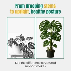 6 Pack Metal Plant Stem Supports for Indoor Plants (Green) – Houseplant