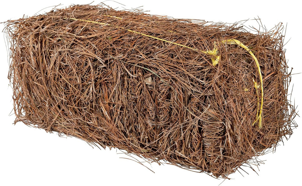 Long Leaf Pine Straw Bale for Mulch, Soil Amendment and Fall Decoration, 24.5″