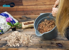 (22325) Orchid Sphagnum Moss Dried Natural 1 Pound Mini Bale
