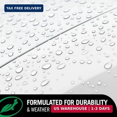 Turtle Wax 52712 Professional Finish Color Magic Car Paintwork Polish – Restores