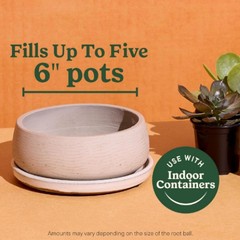 Miracle-Gro Cactus, Palm and Citrus Potting Mix Soil 8 qt. 2-Pack