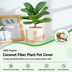 11.8 Inch Coconut Fiber Tree Ring Mulch Mat, 3 Pack Tree Mulch Ring | 100% Na…