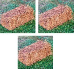 Long Needle Pine Straw Mulch 160 Sqft Coverage 3 Set Premium USA Harvested