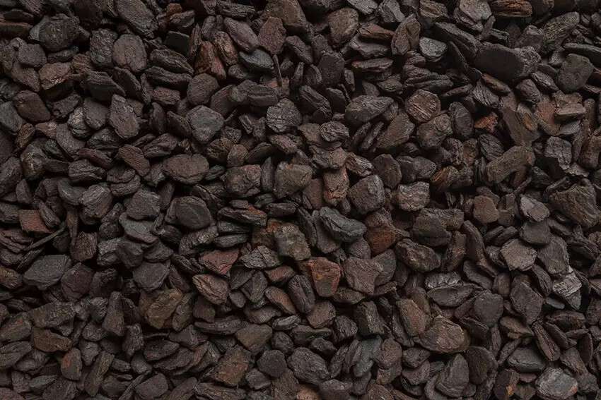 Dalton’s of New Zealand Orchiata Bark Power Medium Orchid / Pine Bark Terrarium