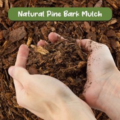 100% Natural Pine Bark Mulch Nuggets for Indoor/Outdoor Container Garden