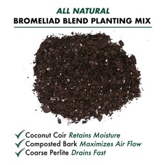 Better-Gro Bromeliad Blend 8 Quart 8 quarts, Brown