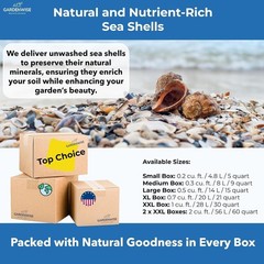 Natural Sea Shell Mulch – Decorative Coastal Shells for Garden, Pathway, Patio