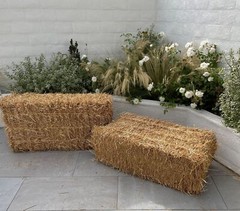 Sandbaggy Rice Straw Bales (Certified Weed Free) – 46″ x 15″ x 22″