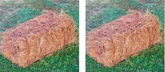USA Pine Straw Premium Pine Needle Mulch Pine Needle Mulch Covers 65-80 Sqft 2