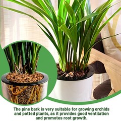 6qt Organic Orchid Potting Bark -Natural Mulch for Potted Plants, 6qt, Small