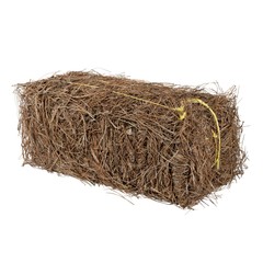 Garden Elements Long Leaf Pine Straw Bale For Mulch, Soil Amendment, 12.5 Pounds