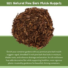 100% Natural Pine Bark Mulch Nuggets for Indoor/Outdoor Container Garden