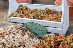 Supermoss (22330) Orchid Sphagnum Moss Dried, Natural, 2.1Lbs Small Bale