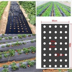 Home Holes Garden Film Agricultural Vegetable Plastic Plant Protect Fruit Props