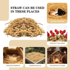 Wnj Natural Wheat Straw – 1 Lb Dry Straw Soft 100 Natural Straw Bale For Animal