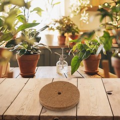 Eco Friendly Coconut Shell Mats Promote Healthy Growth for Your Plants