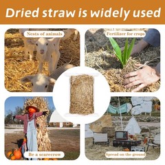 Wnj Natural Wheat Straw – 1 Lb Dry Straw Soft 100 Natural Straw Bale For Animal