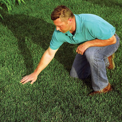 Seeding Mulch with Tack – Biodegradable Processed Straw, 2.5 Cu. Ft. Bale (Cover