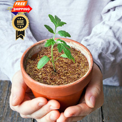100% Natural Cedar Chips | Mulch | Great for Outdoors 4 Quarts,