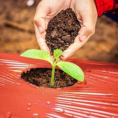 2Pack 3 Mil Embossed Mulch Garden Plastic Film, 4ft X 25ft 4ft X 25ft-2pcs Red